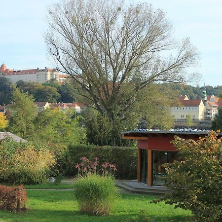 Apartamento Ferienoase Pirna Exterior foto